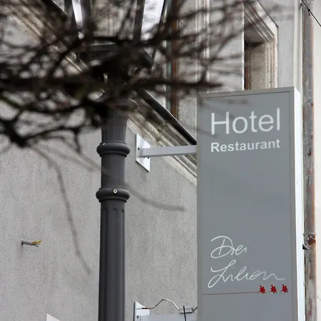 Hotel Drei Lilien Vohenstrauss