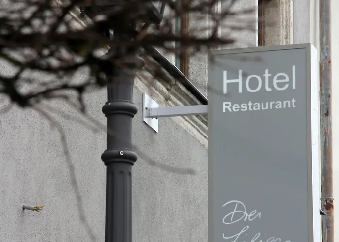 Hotel Drei Lilien Vohenstrauss